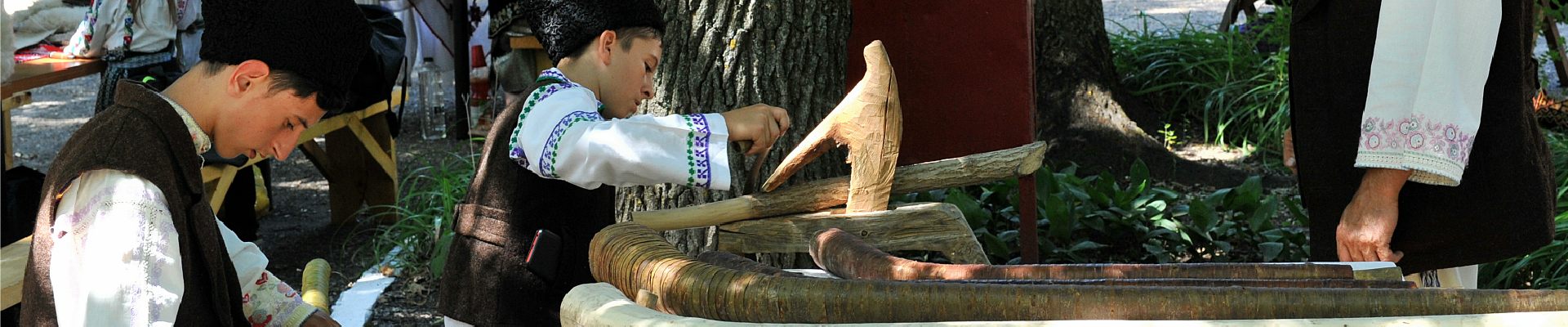 banner mesteri populari wide